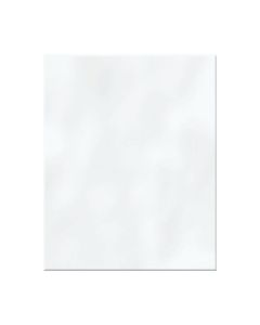 BUMPY WHITE 250MM X 200MM X 7MM TILE [BOX-20]  [1.0 M2 - PACK]